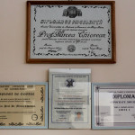 image-04